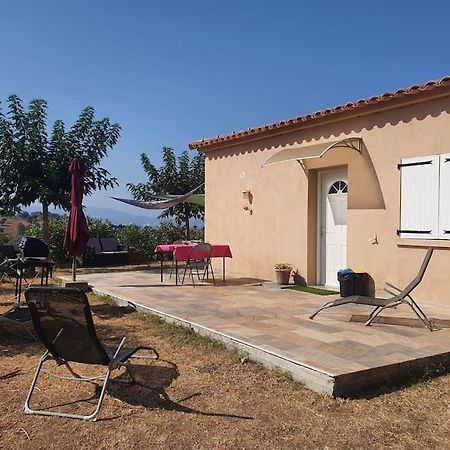 Studio Mitoyen A La Campagne Vue Sur La Mer Cargese Exterior photo