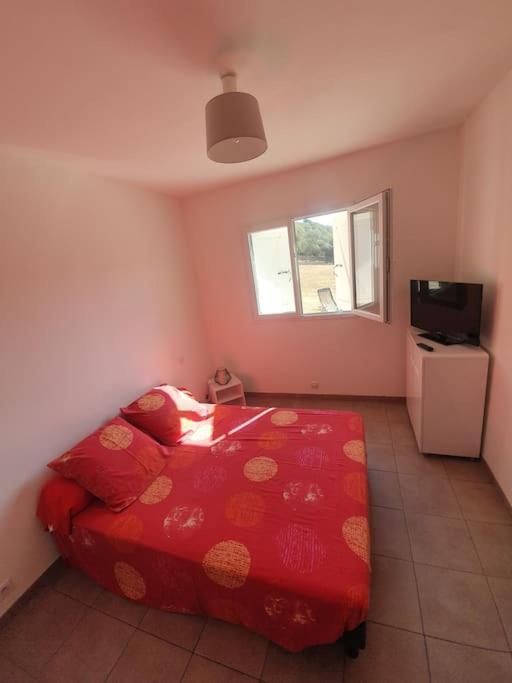 Studio Mitoyen A La Campagne Vue Sur La Mer Cargese Exterior photo